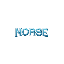 Norse Win Casino